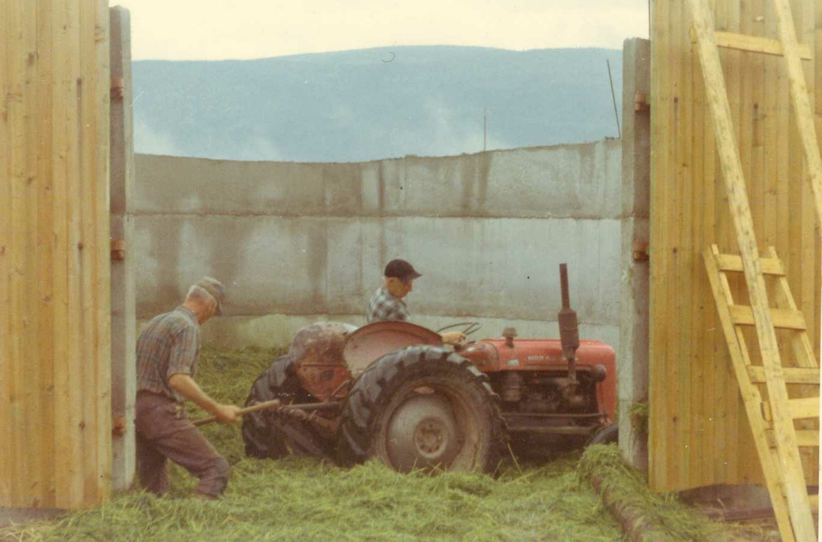 Engebret Brænd "tråkker" silo med traktor. Petter Nysveen er med. H78. 