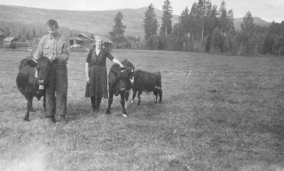 Labbstua/Fossheim ca. 1940. Fv. Martin og Emma Andreassen. K24. 