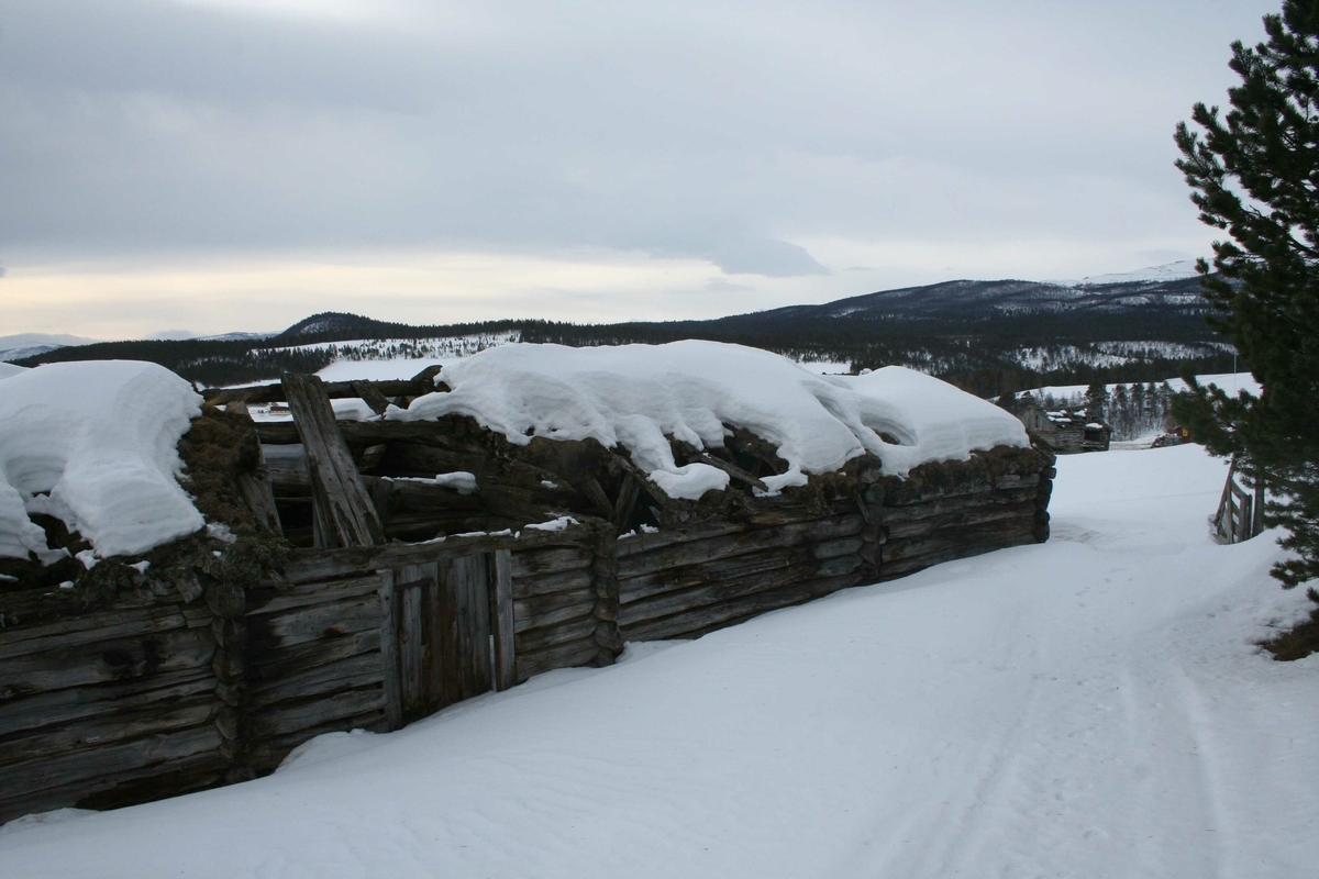 Sommerfjøs