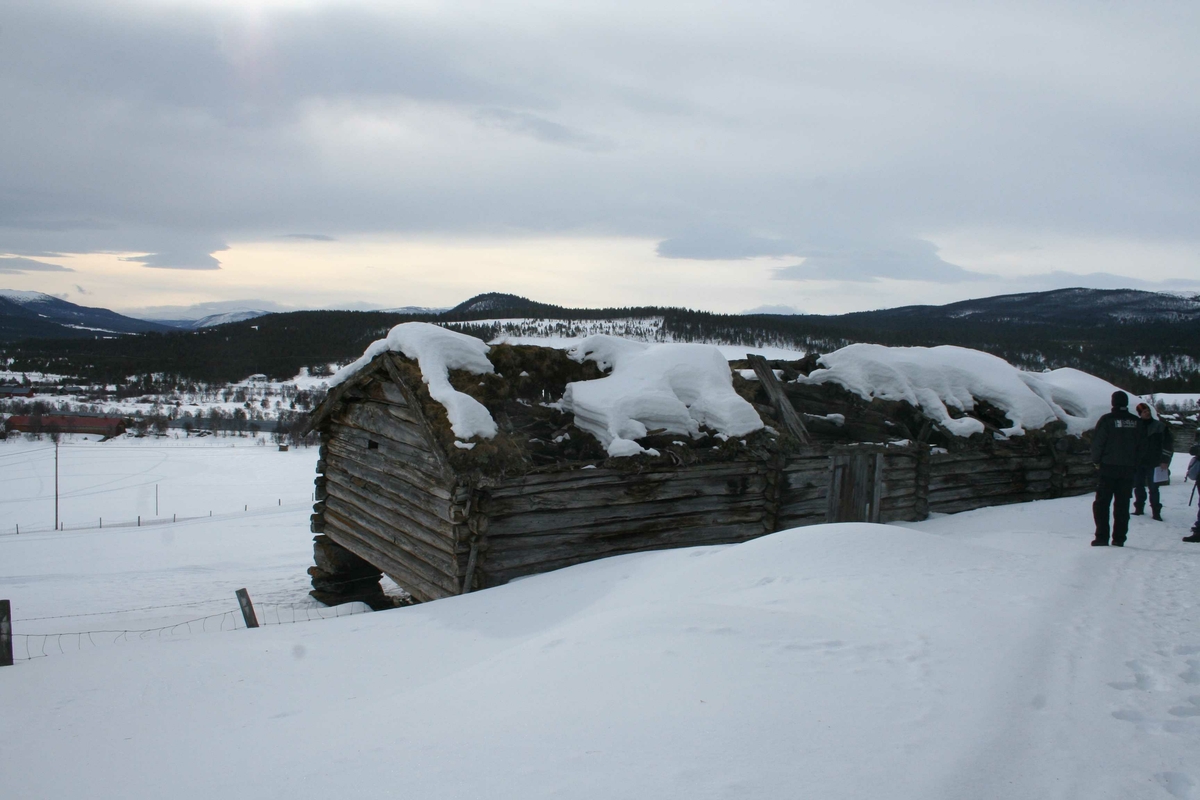 Sommerfjøs