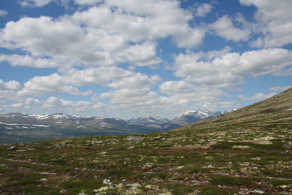 Utsikt, fjell-landskap