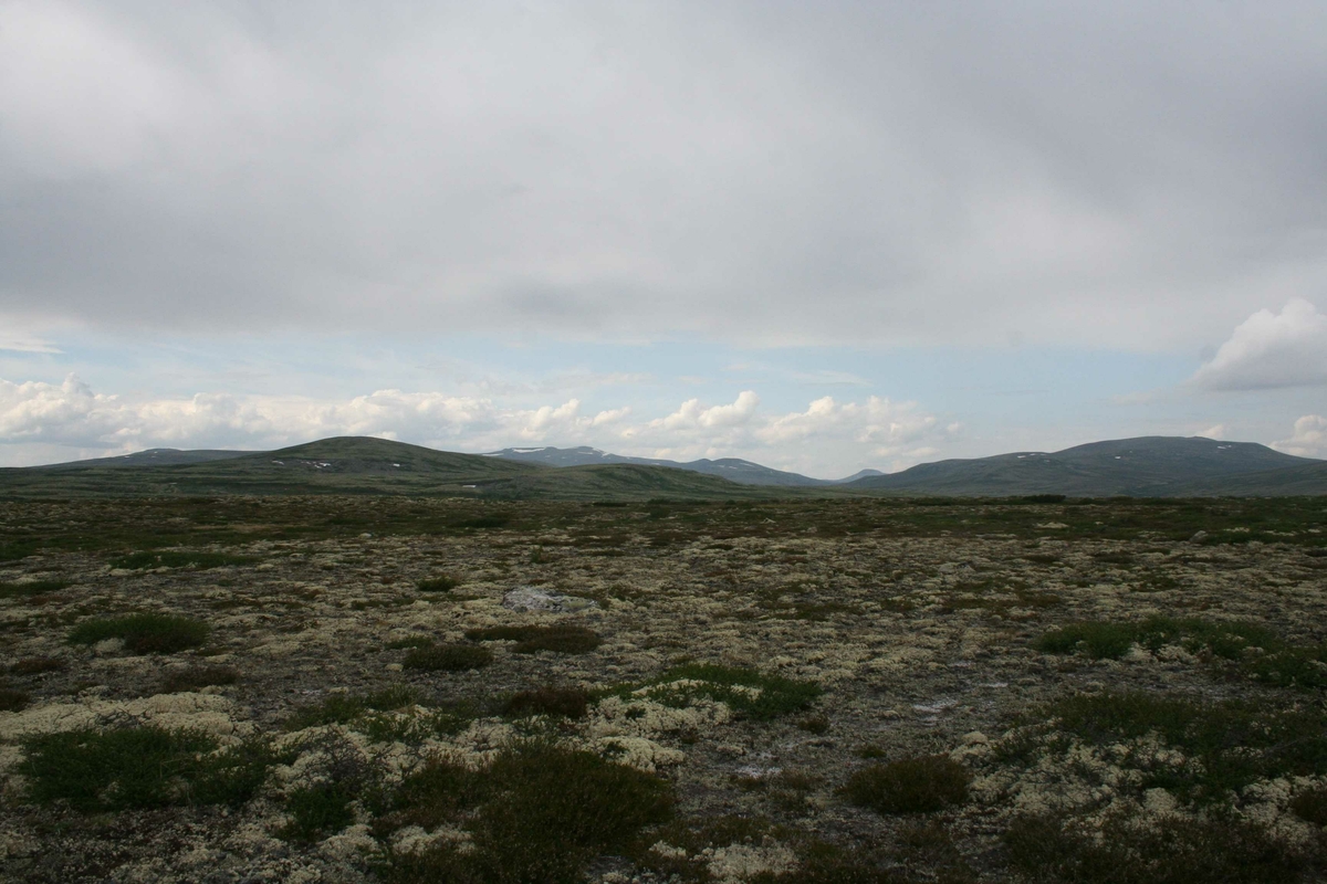 Utsikt, landskap