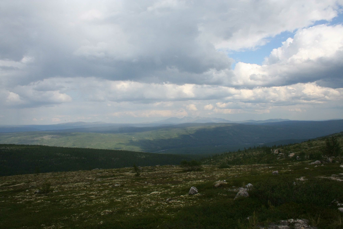 Utsikt, landskap