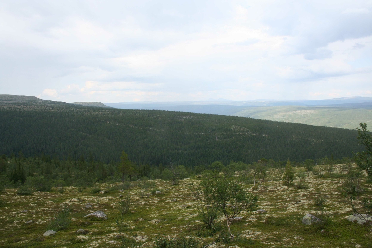 Utsikt, landskap