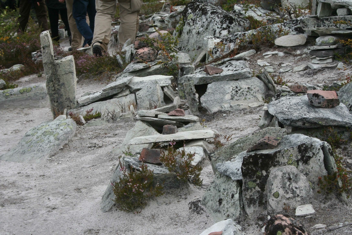 Cirkumferensbefaring, lekebyen, "Røroskopi"