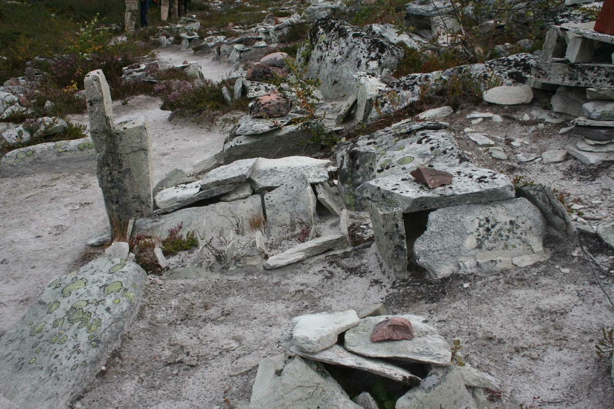 Cirkumferensbefaring, lekebyen, "Røroskopi"
