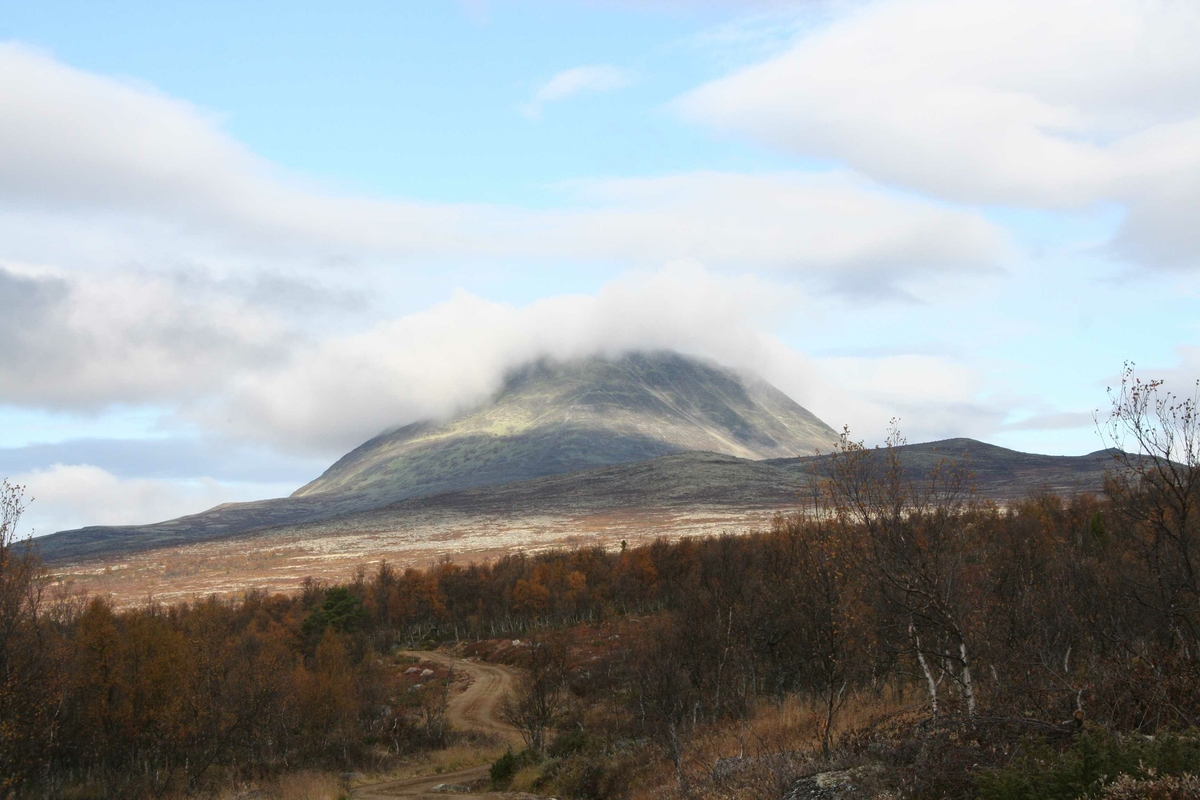 Natur, utsikt mot fjell