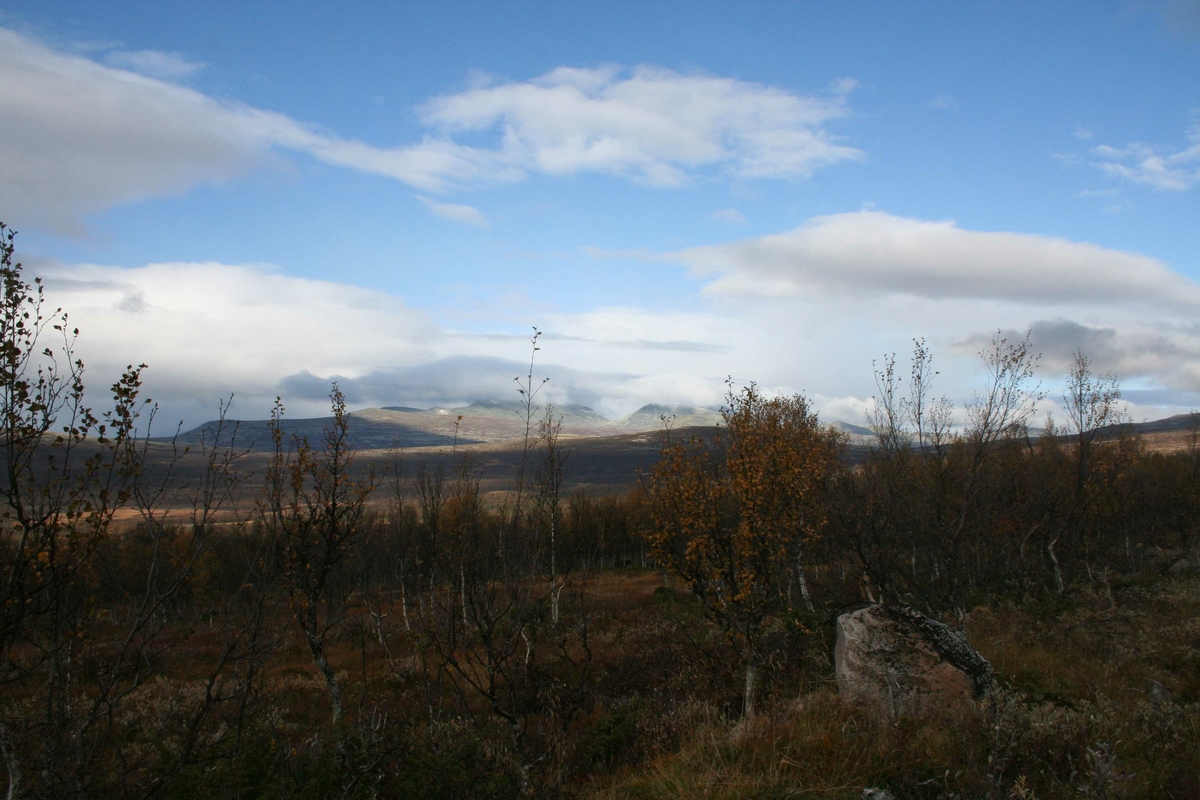 Natur, utsikt mot fjell