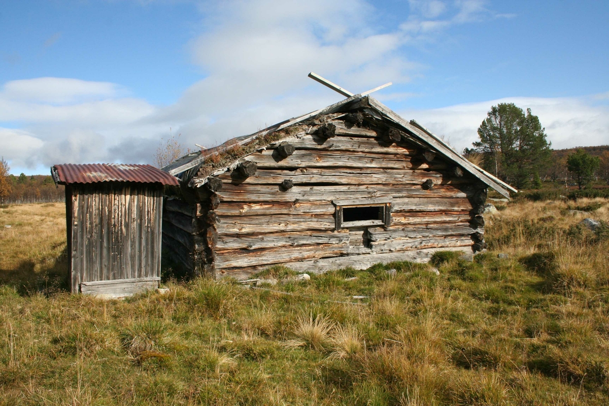 Seterfjøs, Nyeggvangen