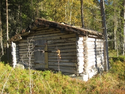 skoghusvær, Rendalen