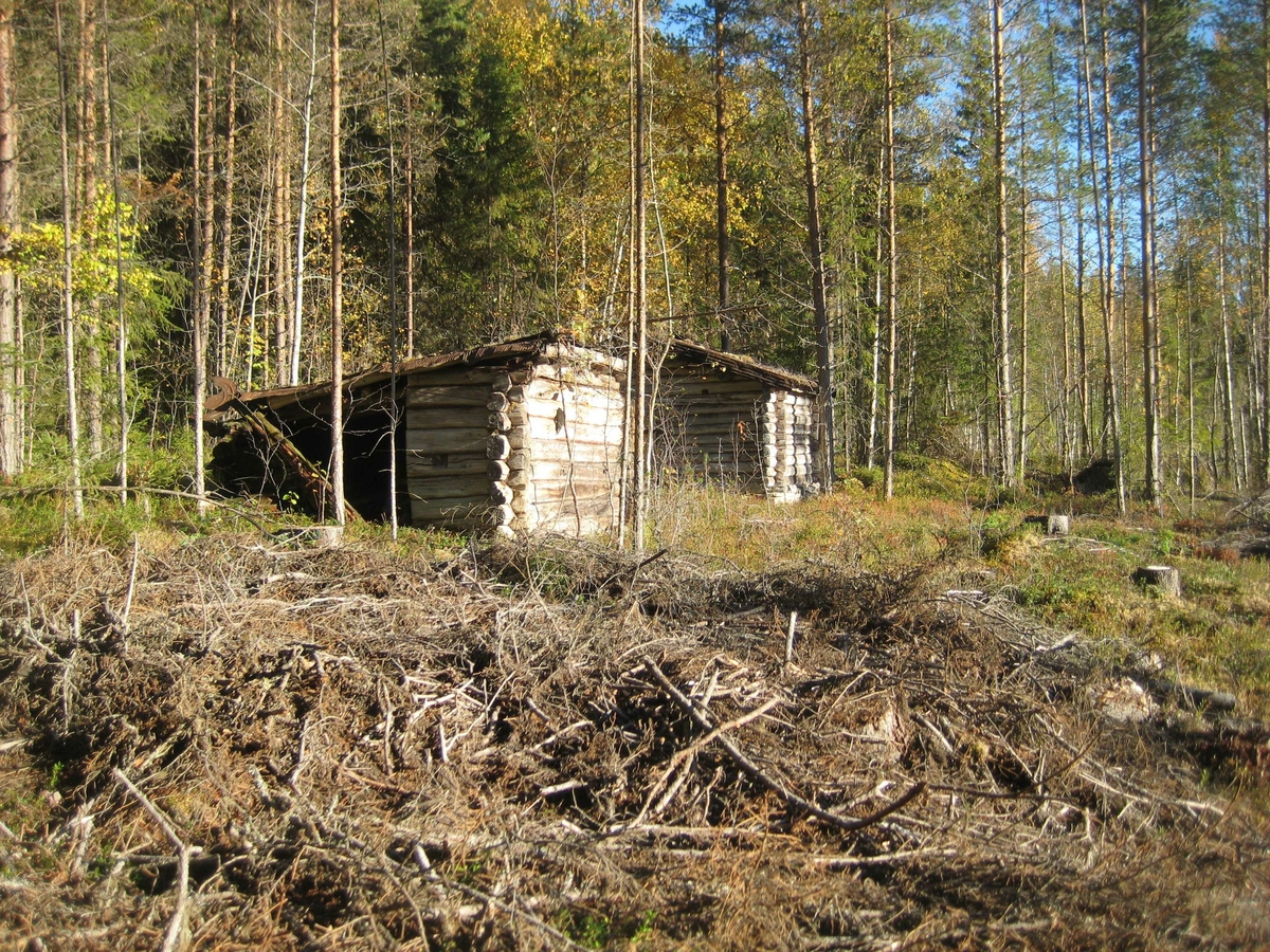 skoghusvær, Rendalen