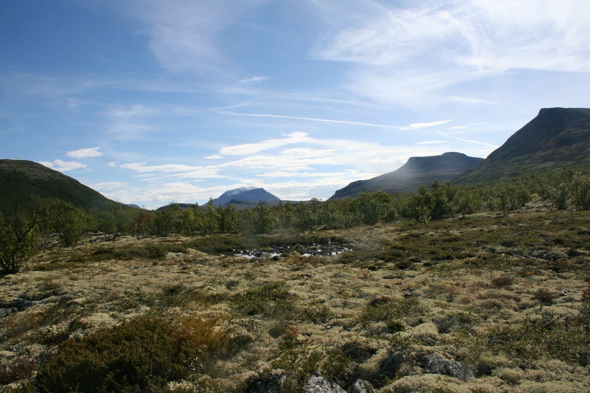 mot Alvdalssøln og Kyrkjekletten, Mjovassdalen, 