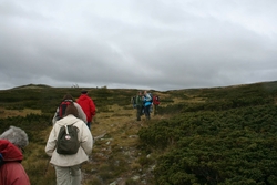 Ferdaminne 2011, Vinjevandring, Øverdalssetra-Hamn