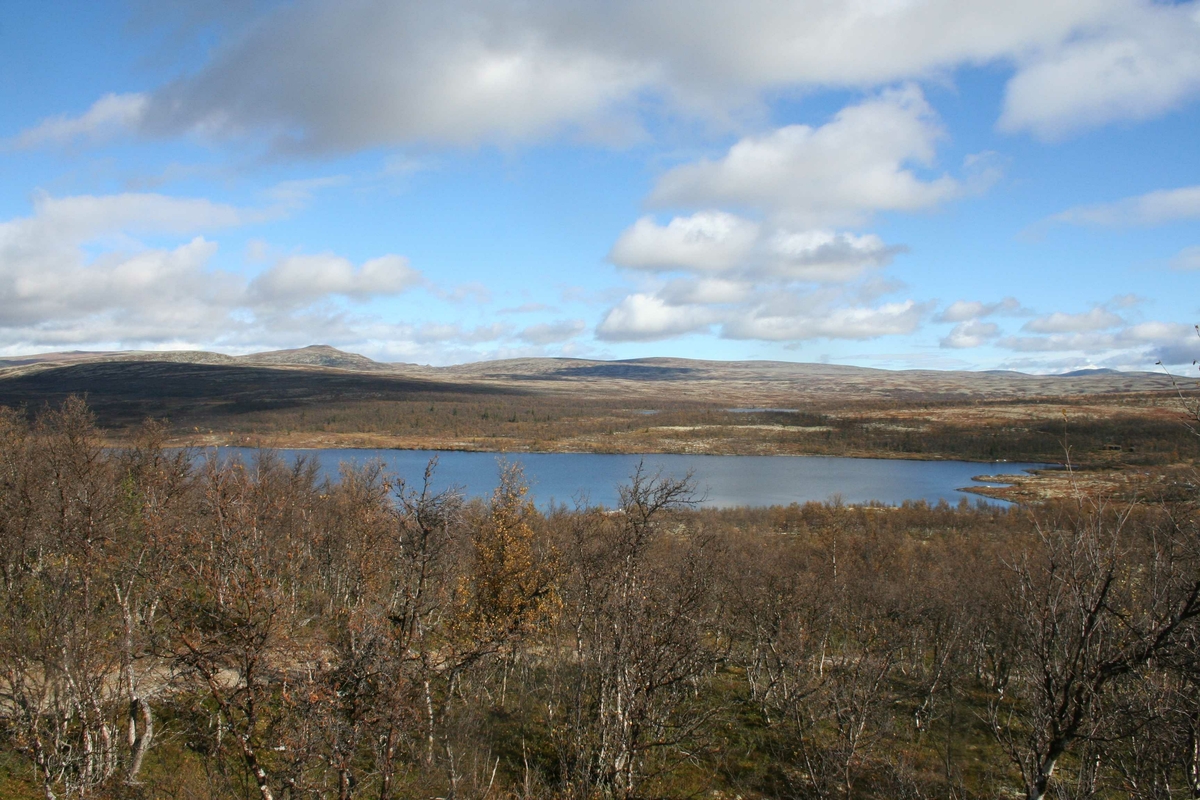 Gråsjøen, Stor-Elvdal