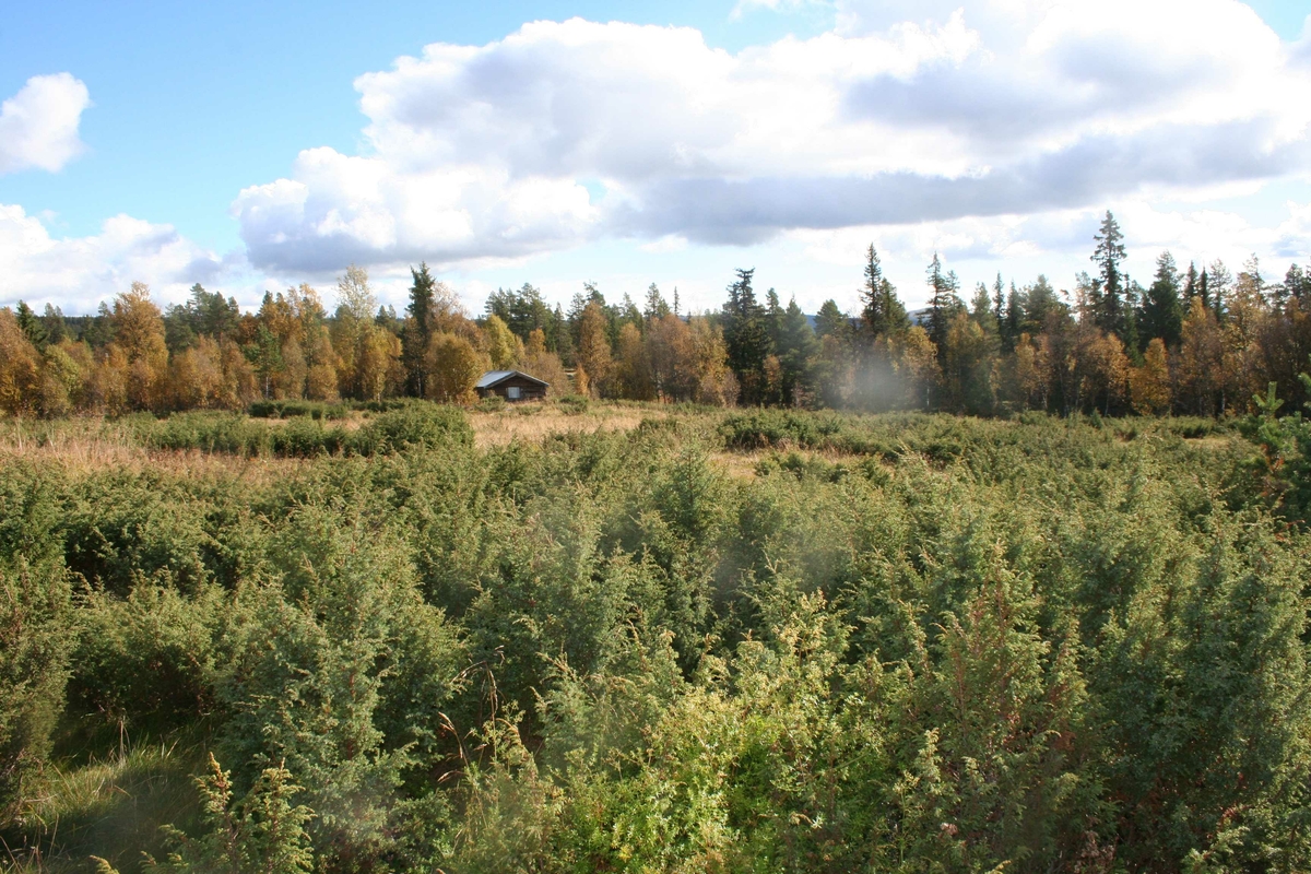 Hanestadnysetra Atndalen, Stor-Elvdal
