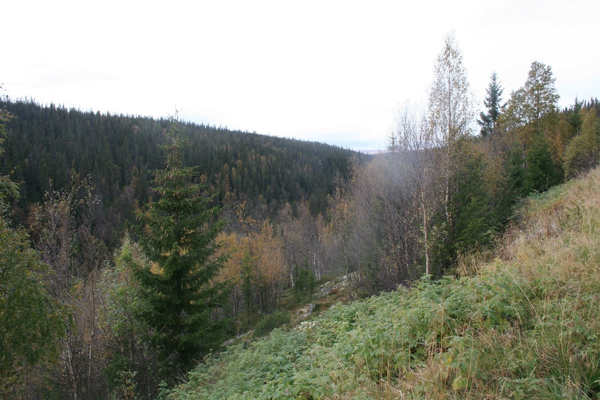 Hanestadnedalen, vanskelig terreng