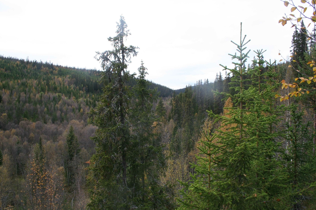 Hanestadnedalen, vanskelig terreng