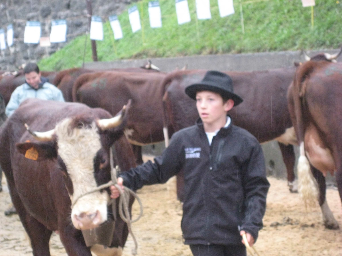 Haute Savoie kuutstilling