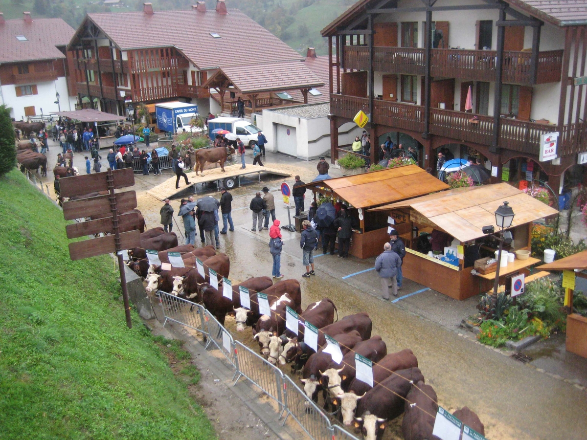 Haute Savoie kuutstilling