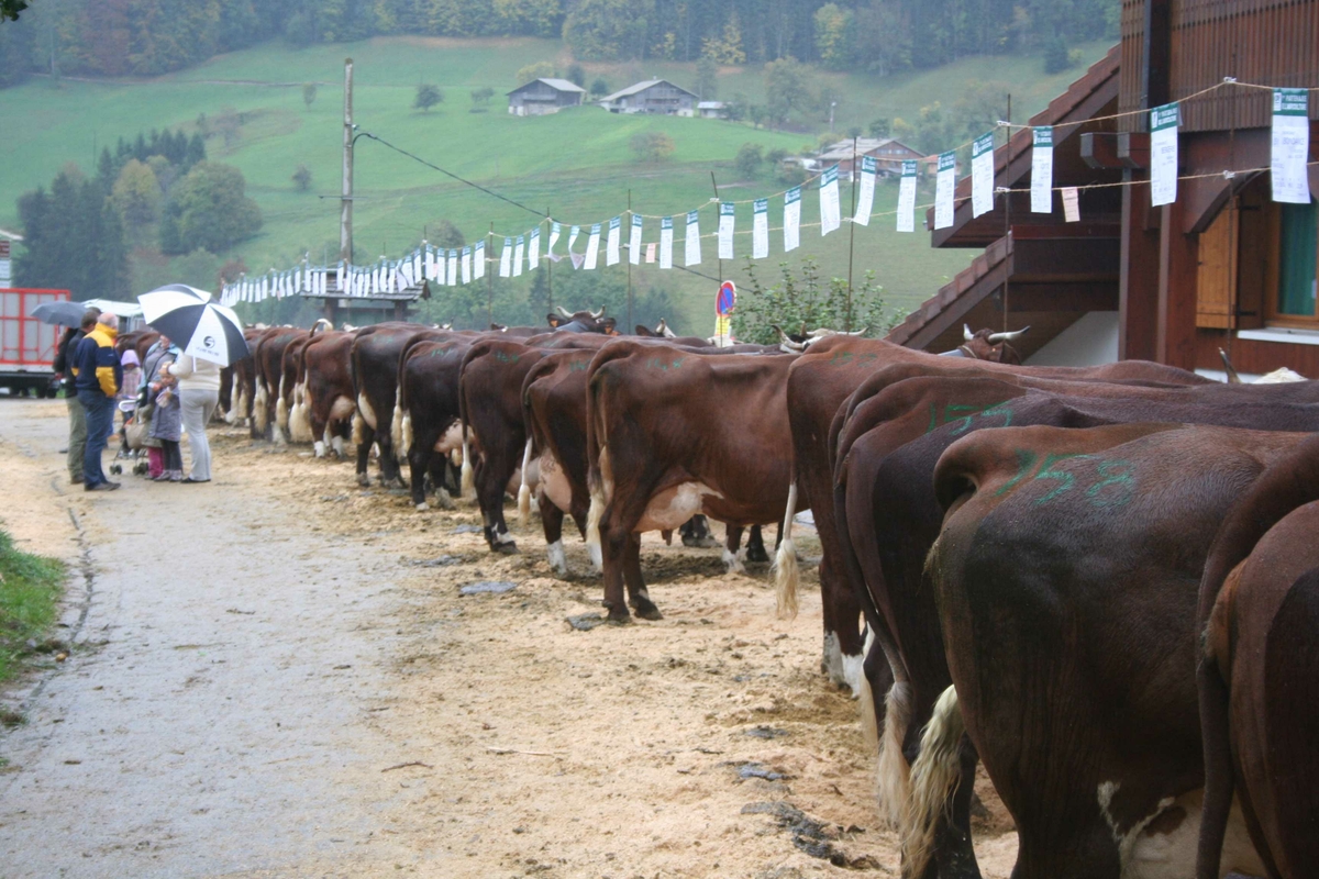 Haute Savoie kuutstilling