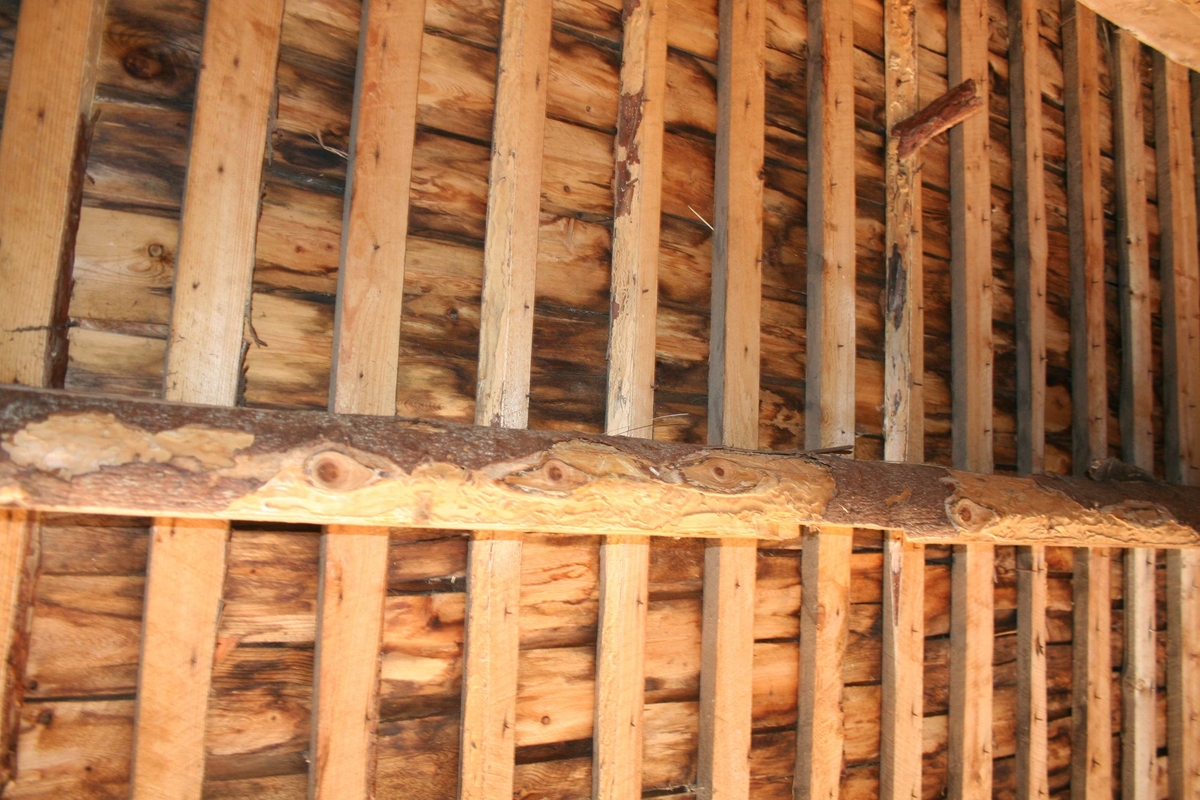 låve, innvendig tak