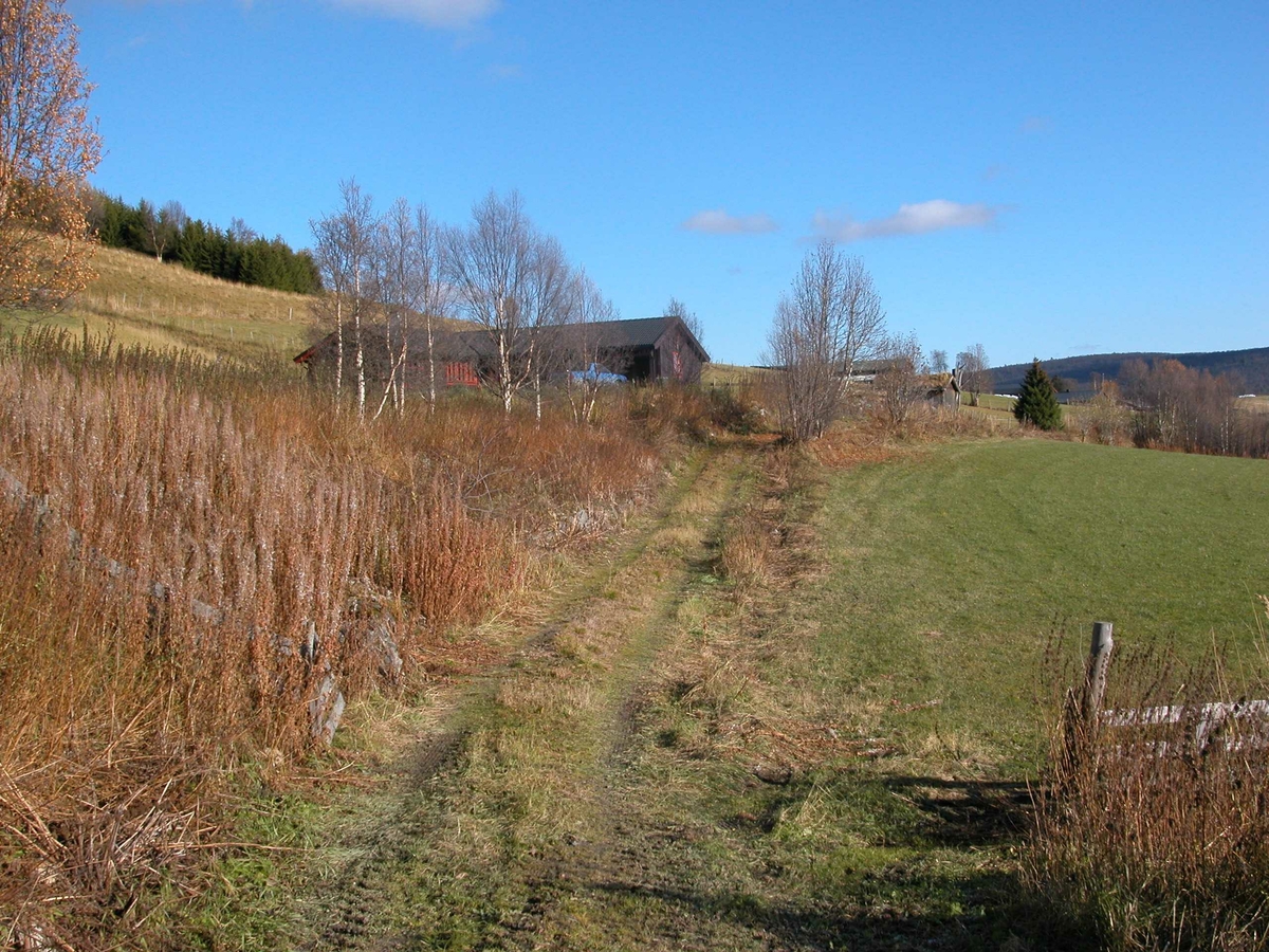 Kjerkgjelen, Vingelen