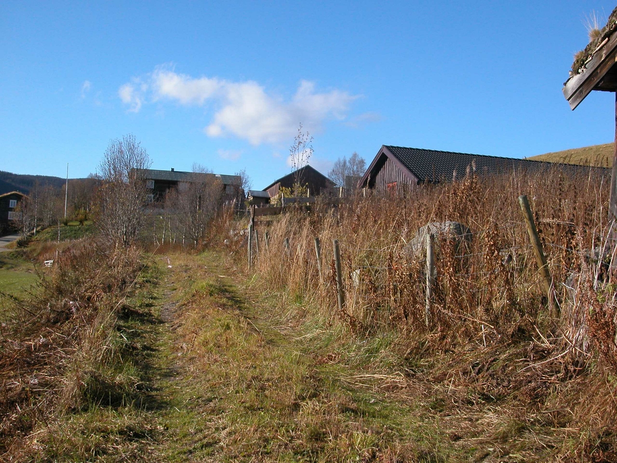 Kjerkgjelen, Vingelen