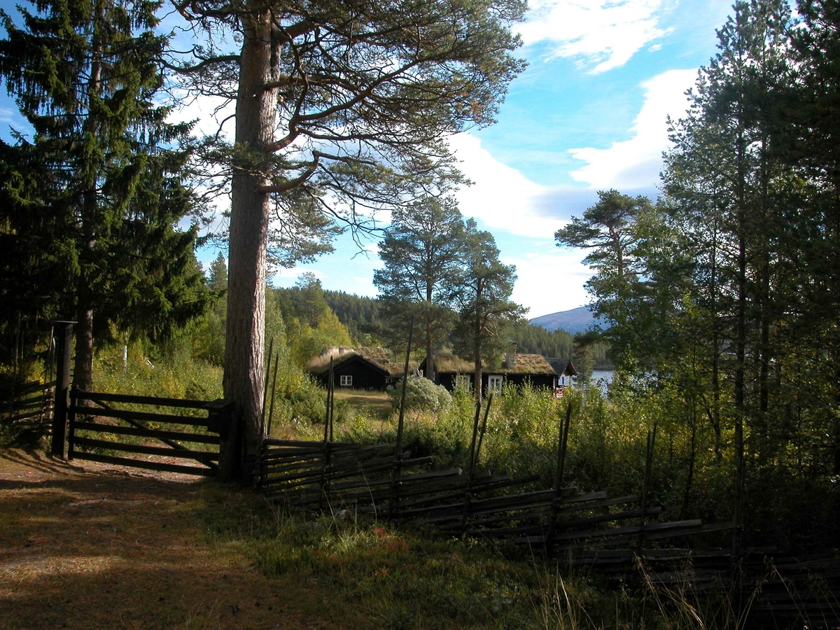 Kolbotnen 