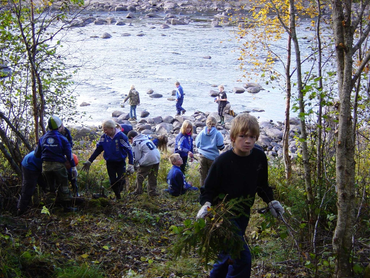 Rydding, Rydd et kulturminne,  Steigen og Plassen skole, Aursjøbekken