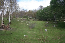 Kulturlandskap Bjørganlia