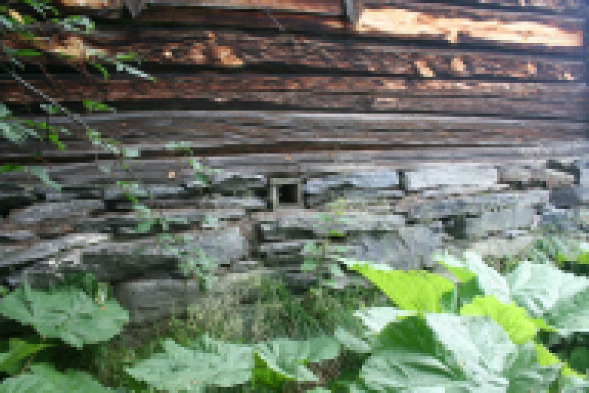 Bolighus