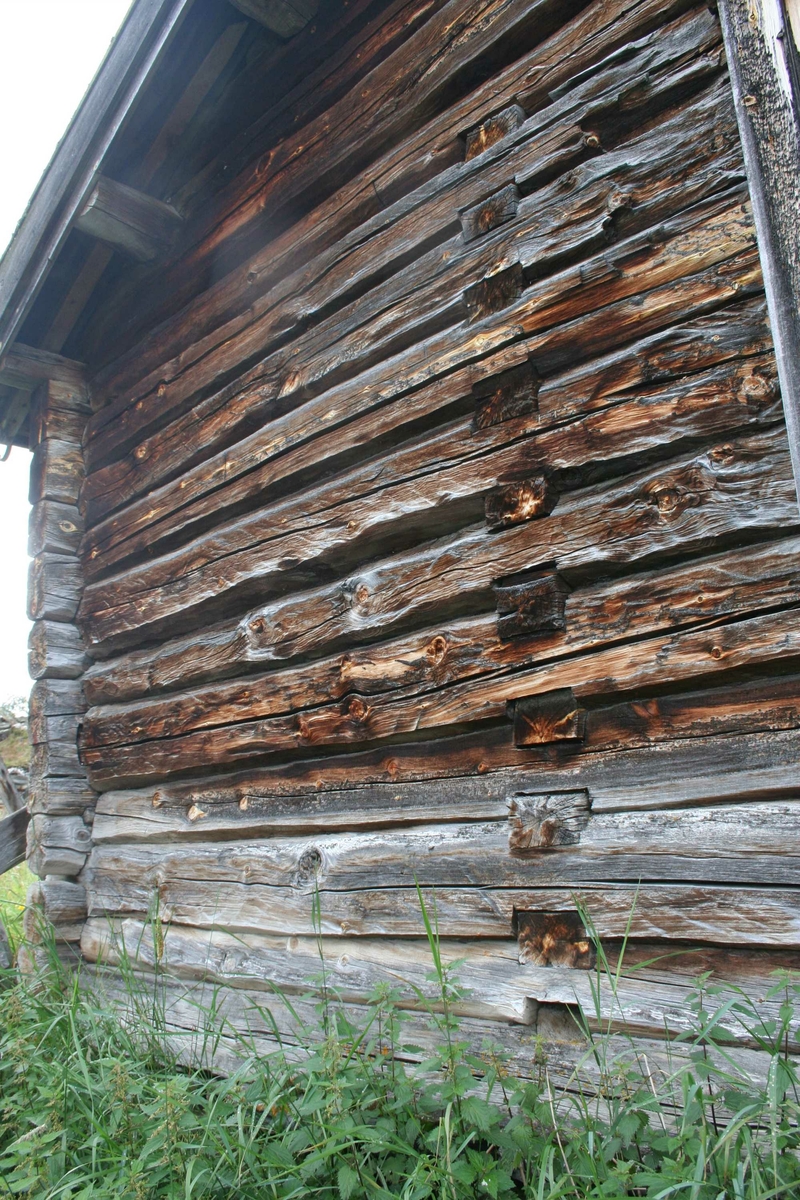 Bolighus