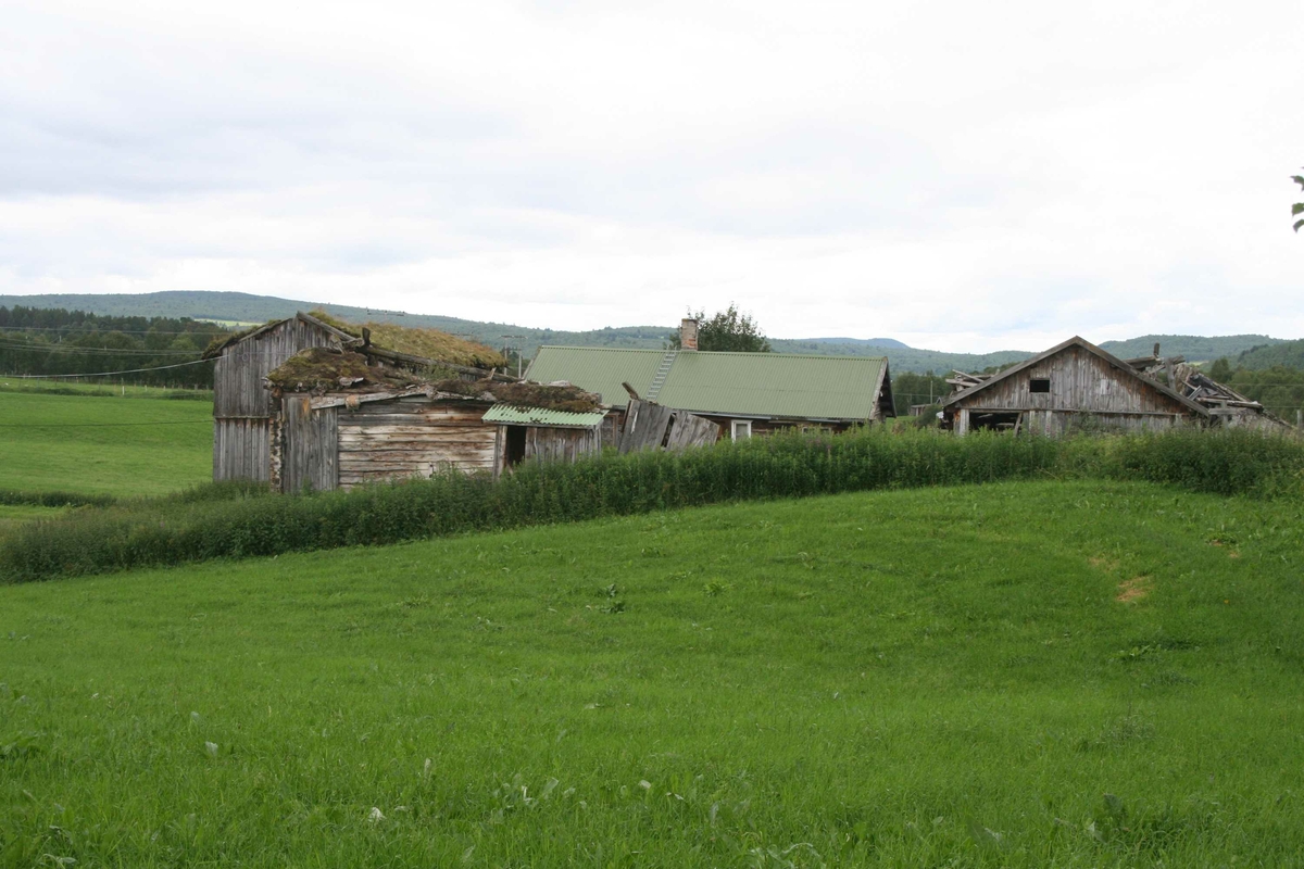 Gardsbruk, tun
