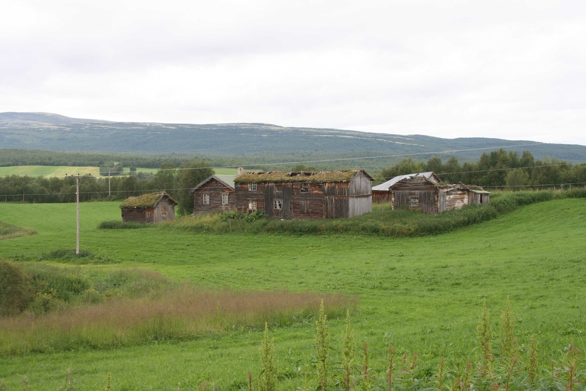 Gardsbruk, tun