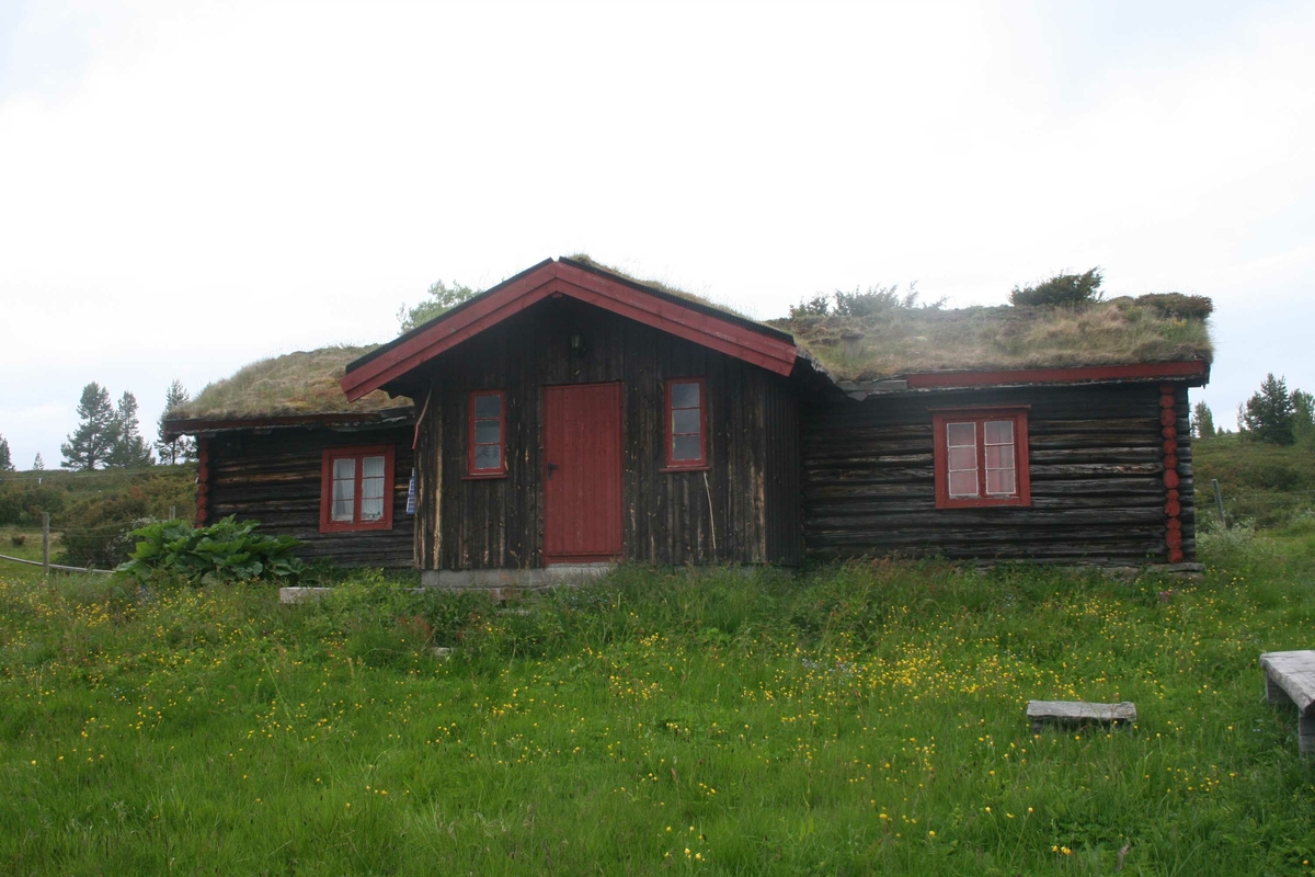 Seterstue, tak