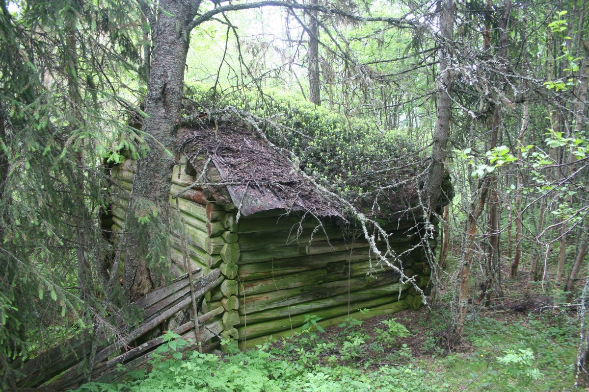Sommerfjøs