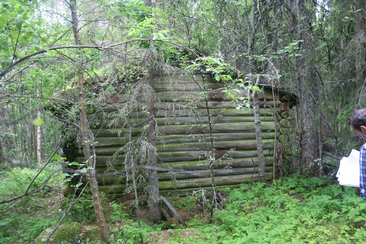 Sommerfjøs