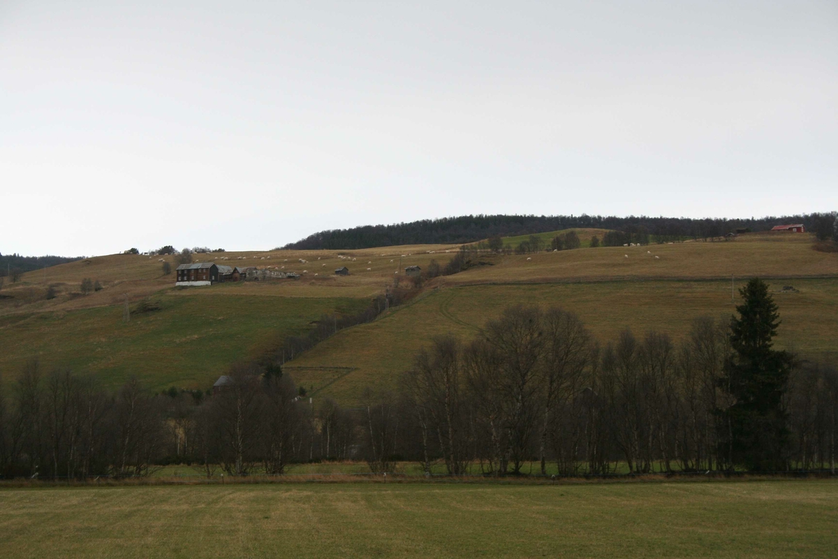 Kulturlandskap Bjørgan-Skogstad, Kvikne