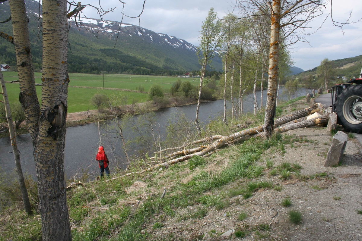 rydding langs Orkla, Vollan