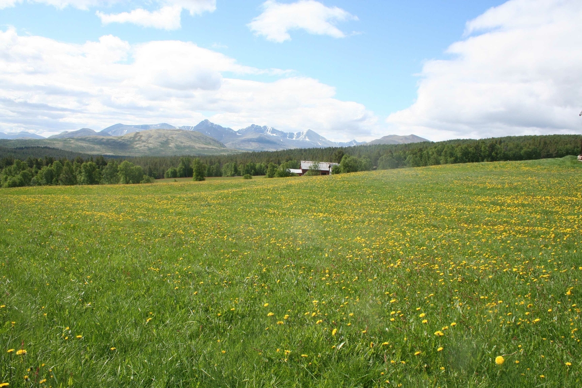 sommerfjøs, gardsbruk, blomstereng, Streitlien mellom, Nordistugu