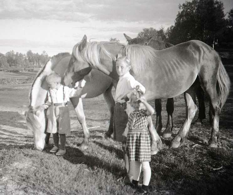 Hester, Okshavna Ryan