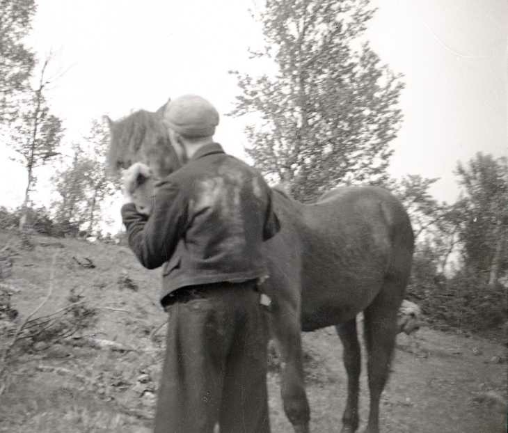 Hester, Okshavna Ryan