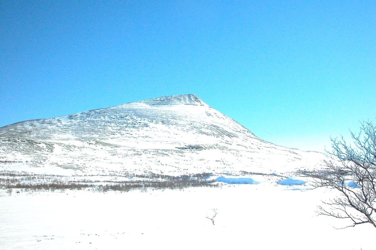 Sølendalen, Alvdal, Sølen