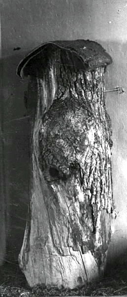 Stock, vari bina tagit sin bostad i skogen, nedsågad och hemförd. Täckt med granbark och träklabbar. Hackspetthål som ingång. 
Höjd: 176 cm.