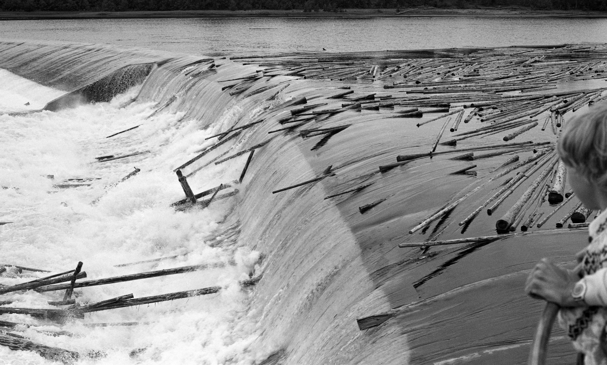 Tømmer i elva og over dammen. Skjefstadfossen, Glomma. 2. 7. 1959