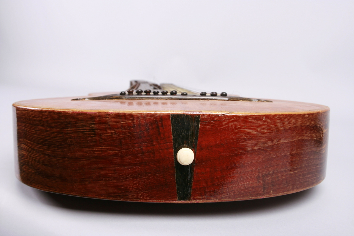 Gitar med dobbel hals. En hals med bånd og 6 strenger, 6 løssvingende strenger ved den andre halsen.