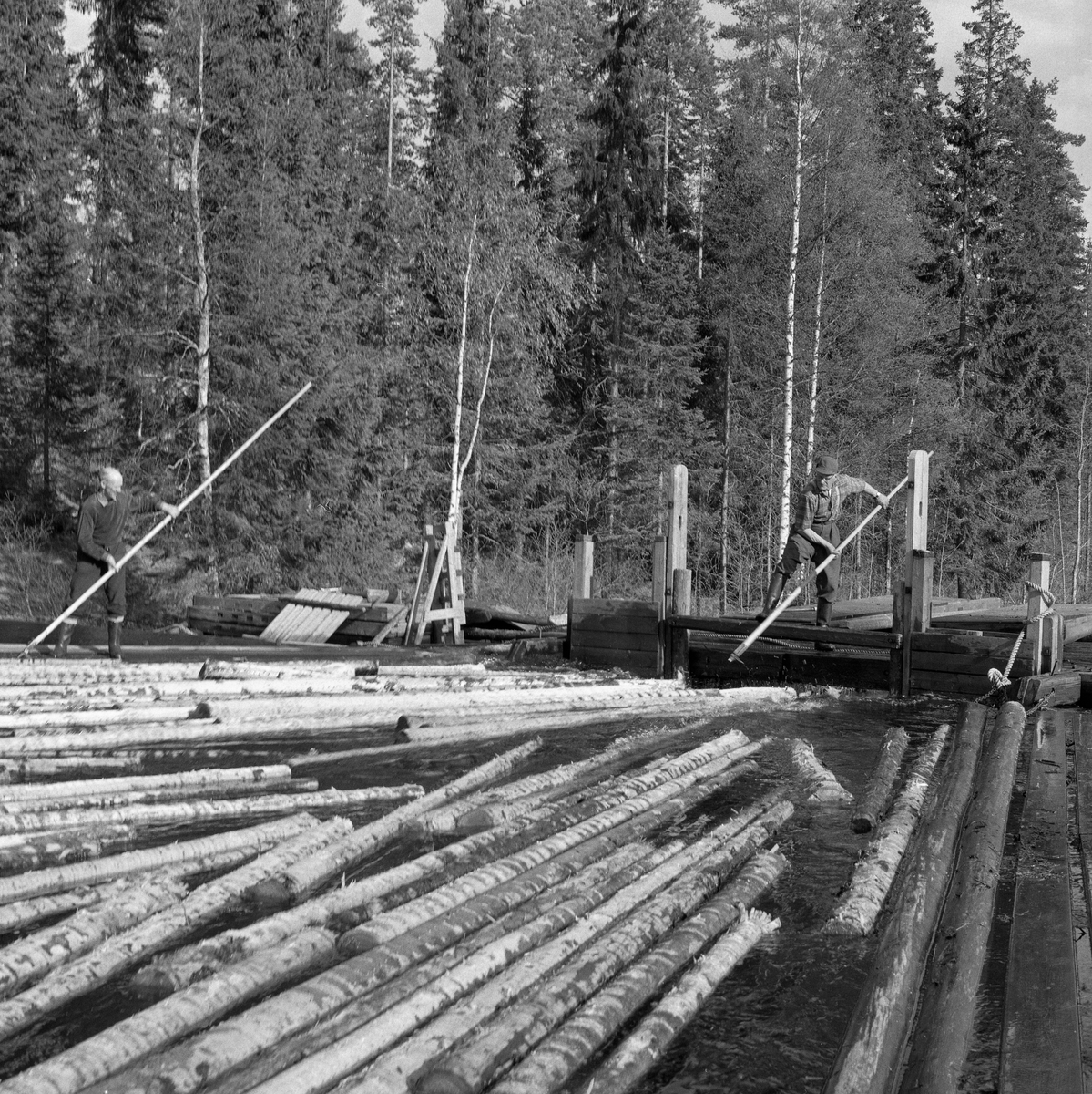 Fløting i Fjæstaddammen i Malungvassdraget, Romedal, Stange, Hedmark. Damslipp. Lukedam med to luker som ble hevet med spett som våg. Fløtere med haker.