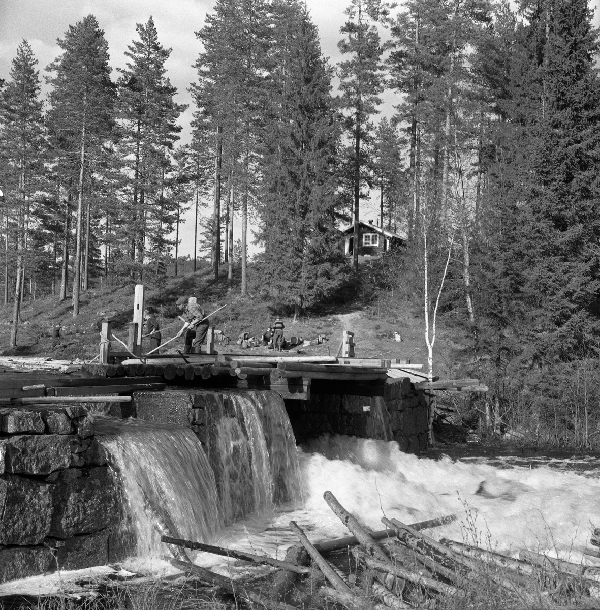 Fløting i Fjæstaddammen i Malungvassdraget, Romedal, Stange, Hedmark. Damslipp. Lukedam med to luker som ble hevet med spett som våg. Fløter med hake.