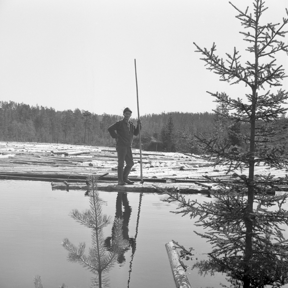 Tømmerflåte på Malungstjennet i nærheten av utløpet av tømmerrenna. Romedal, Stange, Hedmark.