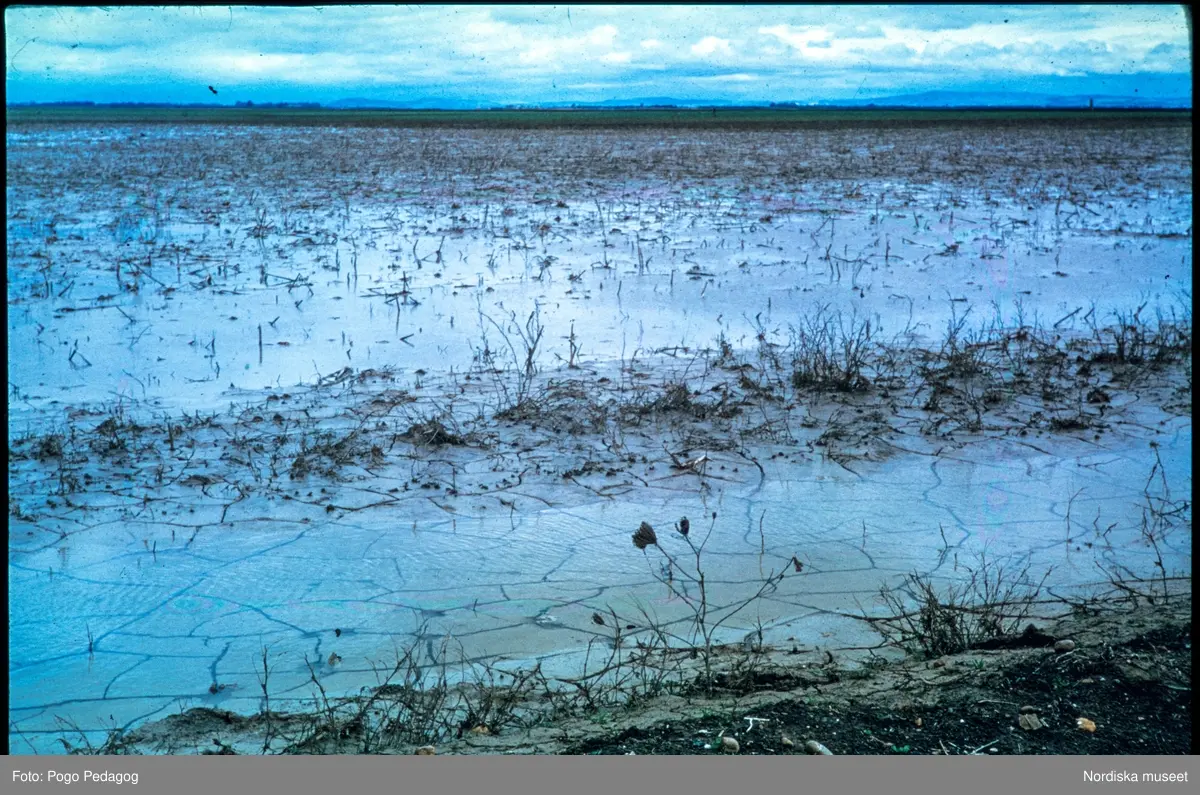Torka och miljöförstöring